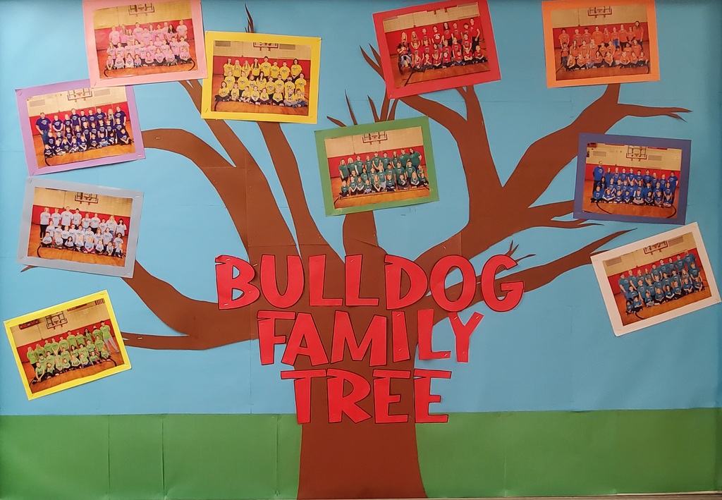 Bulldog Family Tree